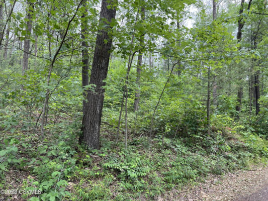 NITTANY MOUNTAIN ROAD, NEW COLUMBIA, PA 17856 - Image 1