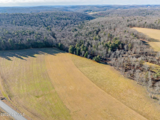 LOT 1 WALLER DIVIDE ROAD, BENTON, PA 17814, photo 4 of 14