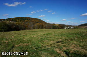 LOT #4 OLD READING ROAD, CATAWISSA, PA 17820 - Image 1