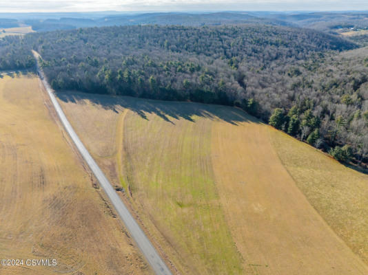 LOT 1 WALLER DIVIDE ROAD, BENTON, PA 17814, photo 3 of 14